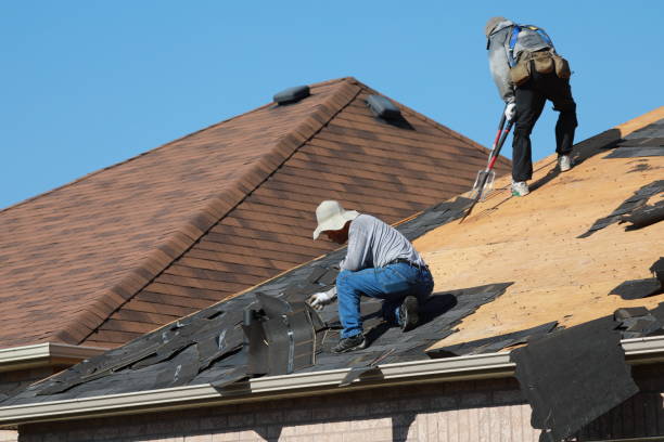 Best Roof Restoration  in Roscoe, IL