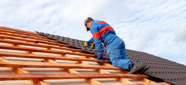 Best Roof Maintenance and Cleaning  in Roscoe, IL
