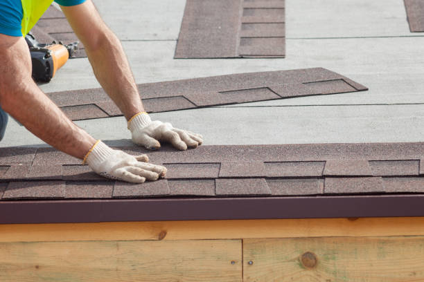Best Metal Roofing Installation  in Roscoe, IL